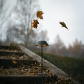 Lampa stołowa zewnętrzna czarna IP44 MUFFIN LED 200lm 2700K T0066 Maxlight