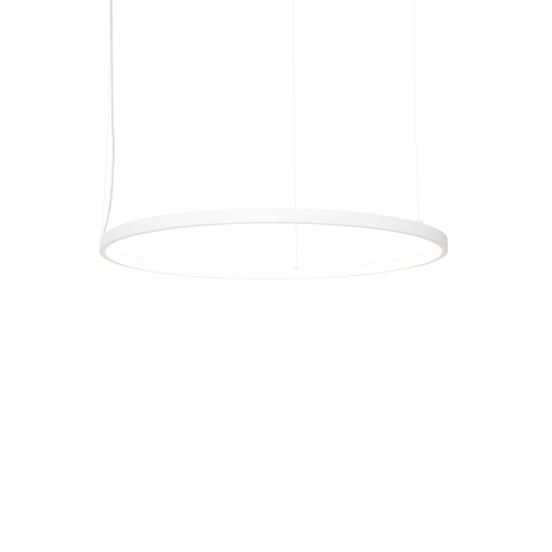 MAXLIGHT P0655 LAMPA WISZĄCA VISUAL HOR 22W WHITE 60cm - P0655 Maxlight